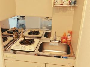 Shiro Sumi House