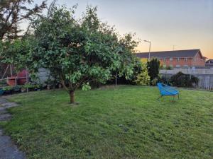 Studiolejlighed I Hvide Sande Centrum
