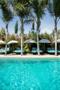 Maison San Alfredo B&B