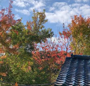 HOSHIYAMA A extra for pets - Vacation STAY 07884v