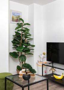 Camden Central Spacious 2 Bedroom Apartment