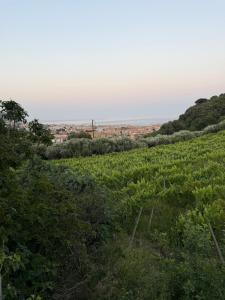 Enjoy the stunning views in Muzazzi, our Riviera Home