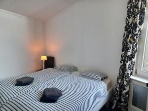 Bellevue Nr 123 - Lemmer