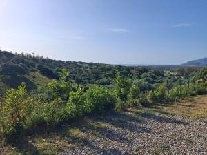 Le Corti Sarde On The Hill img33