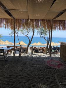 Mesta Beach