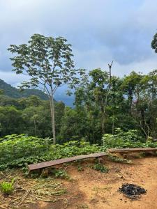 Itacurumi Lodge - Nature & Hiking Experience