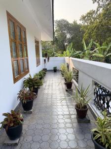 Timberwave Homestay, Paravur, Kollam