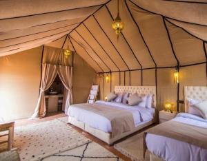 Desert Camps