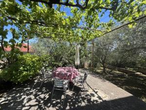 2 Bedroom apartment Bor in Poljana