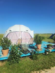 Mar a Lago Glamping23