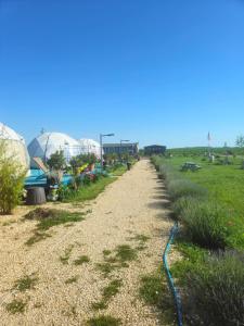 Mar a Lago Glamping23