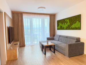 Apartment Lacko with free parking