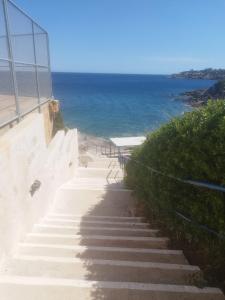 Neptune Suite Sounio