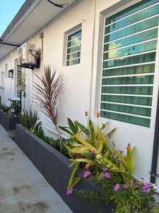 Beach Town 1B Apartment with Social Tropical Vibe