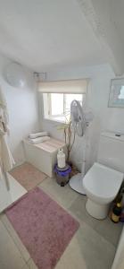 Loft en el Centro Santander