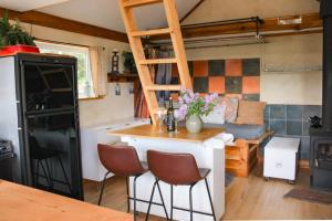 Goonieland Backcountry Sauna & Stays
