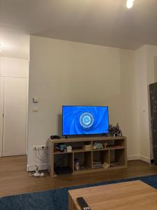 Apartment in the center of Grenoble - mountain view