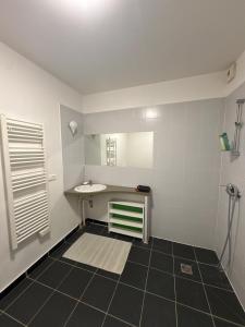Apartment in the center of Grenoble - mountain view