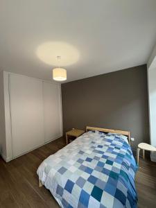 Apartment in the center of Grenoble - mountain view