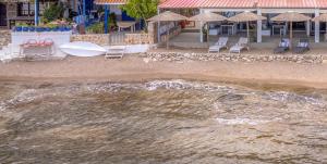 Pallas Seaside 2
