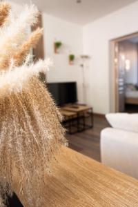 Appart Cosy I Centre-ville