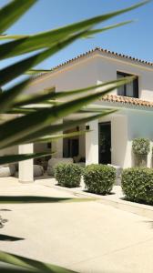 Marbella Bliss - Serenity 4-Bedroom VILLA with Exclisive HEATED Private POOL & Jacuzzi, Tropical Garden, Marbesa - Steps from the Cabopino Beach