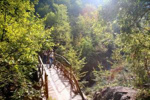 Olympus Hotel Villa Drosos Olympos Greece