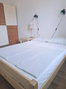 Frans apartment