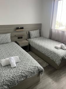 Appartement quartier de la gare