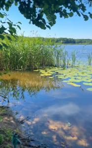 Dom nad jeziorem z prywatną plażą i prywatną przestrzenią 20000m2