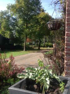 Holiday Home in Soerendonk with Garden