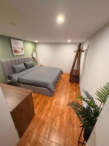 Morden APT 3Br Old Quater Super Location