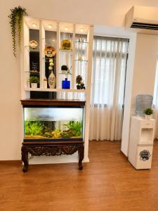Morden APT 3Br Old Quater Super Location