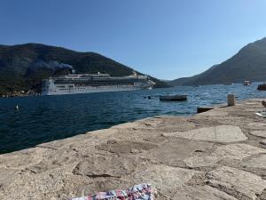 Apartment Forteca Lux