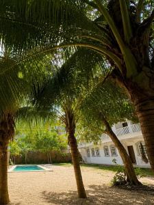 Casa Caimán