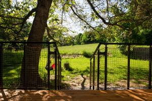 Glamping & Farm Zlaté Podlesí - Letní stáj v konírně