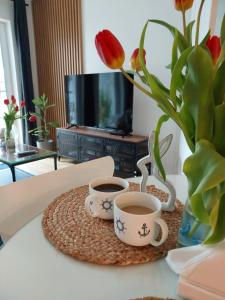 Alga Apartament 50 m2, basen i parking w cenie - Baltic Apartments