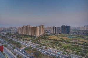 Tulip Stay WD City View