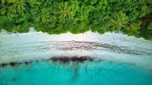 Dhiffushi Reef & Beach
