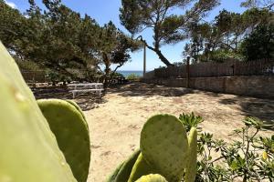 Apartamentos Miguel Torres - Emar Hotels