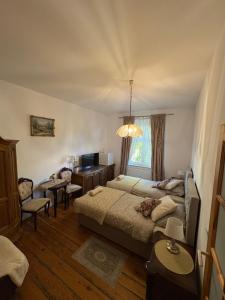 Agroturystyka Hotel Noclegi Pałac Camping