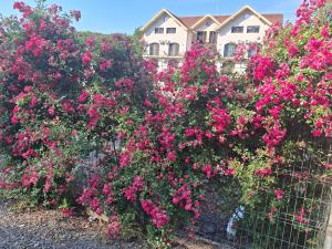 Sofial Guesthouse