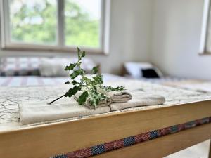 Anit Rooms