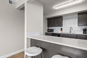 Newly Renovated Unit in Central Spfld #301