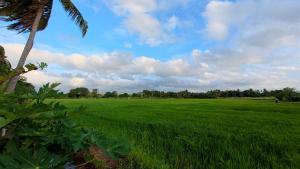 147 Homestay Anuradhapura