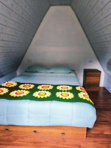Oferta noclegów 13870756