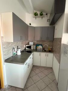 Apartman Lucica