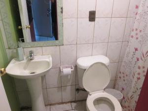 Cabañas Buin