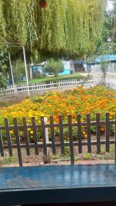 Camping Las Torcacitas
