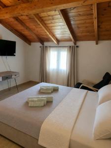 Pura Vida Suite by Fenia